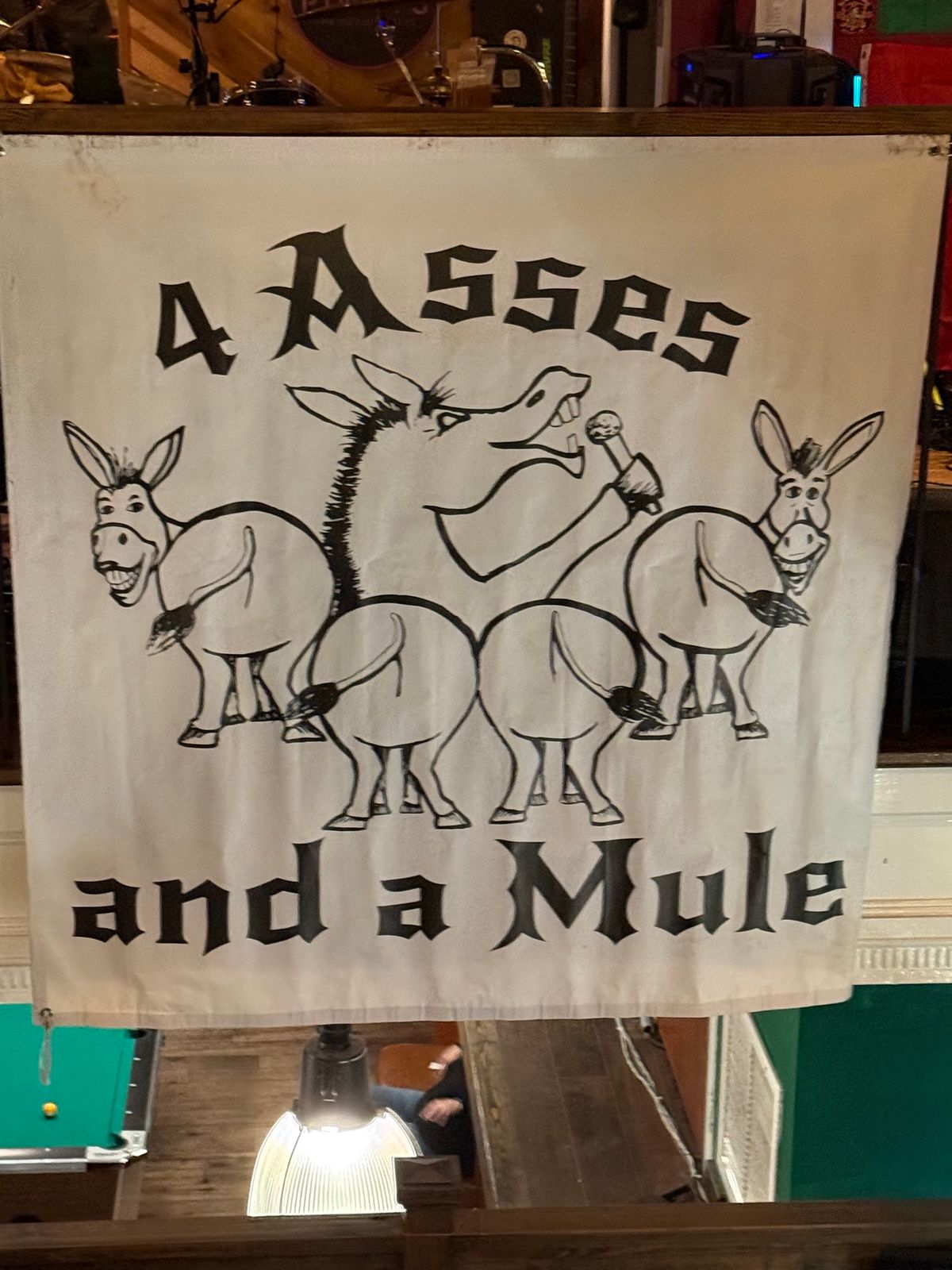 Live Music with 4 Asses and a Mule