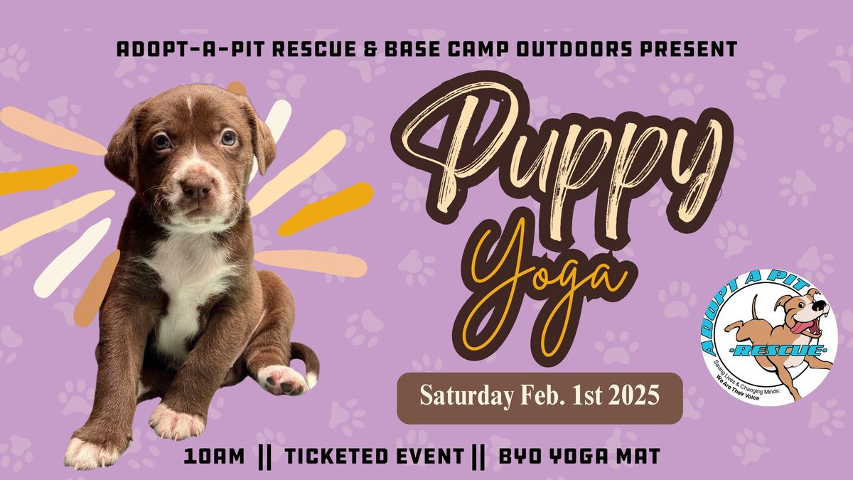 Puppy Yoga || Hosted By Base Camp with Adopt A Pit