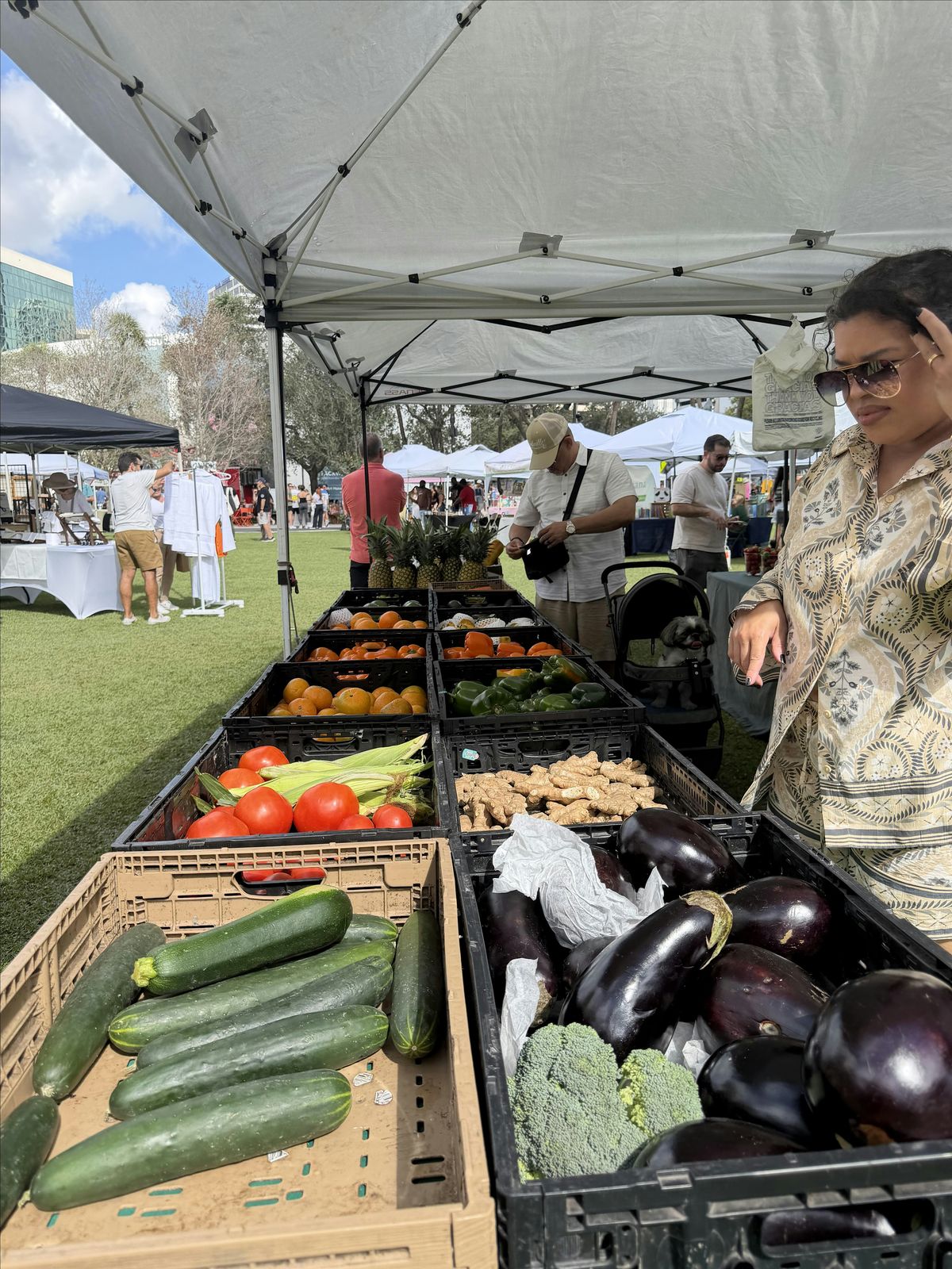 Community Farmers Market at Huizenga Park