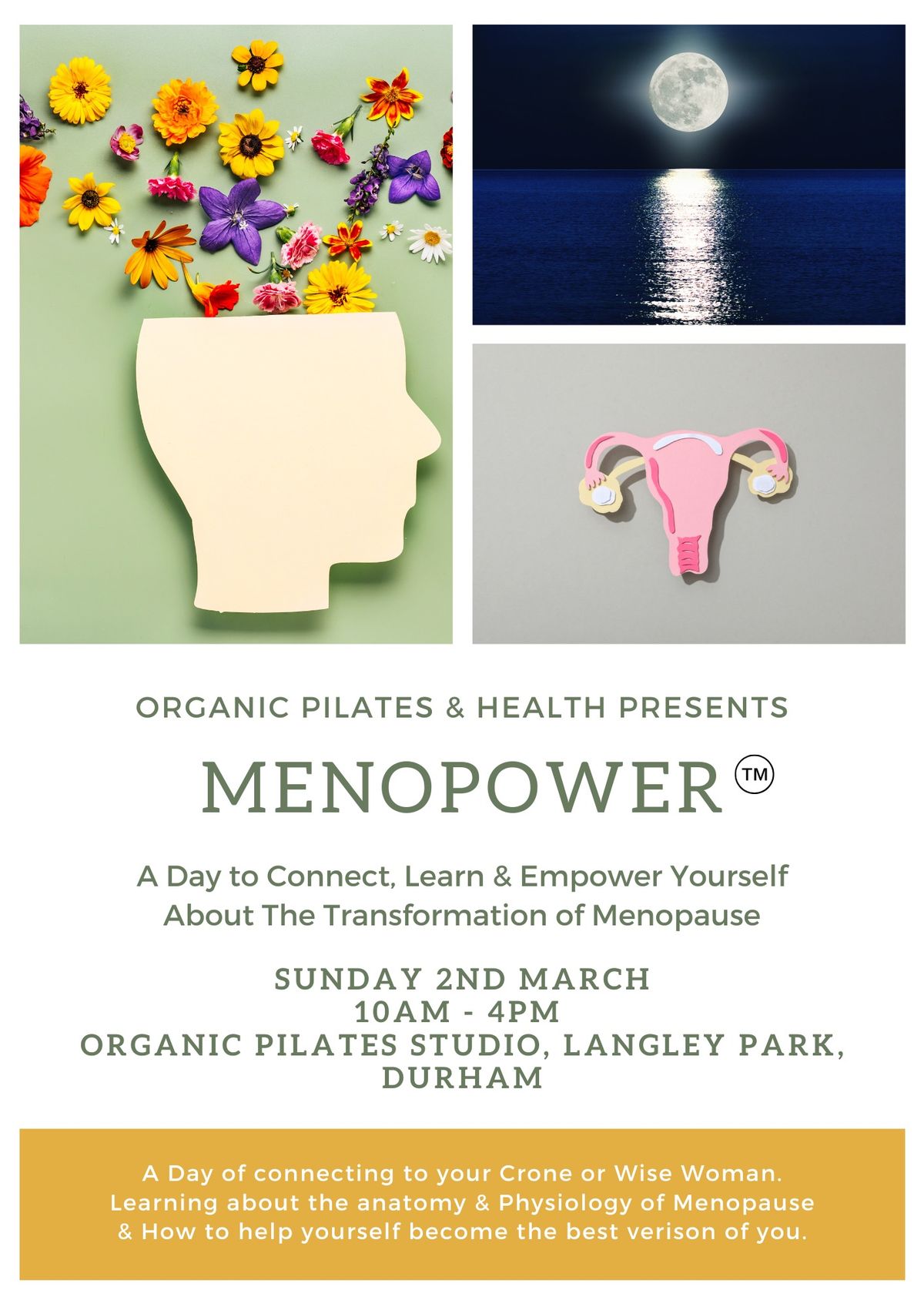 Menopower - The Art & Science of a Healthy Menopause