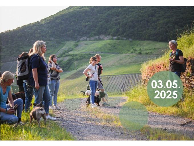 Wein-Erlebniswanderung mit Hund