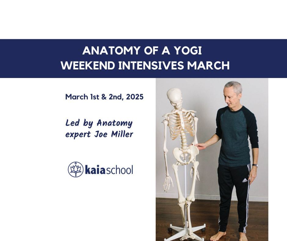 Anatomy of a Yogi | March Weekend Intensive