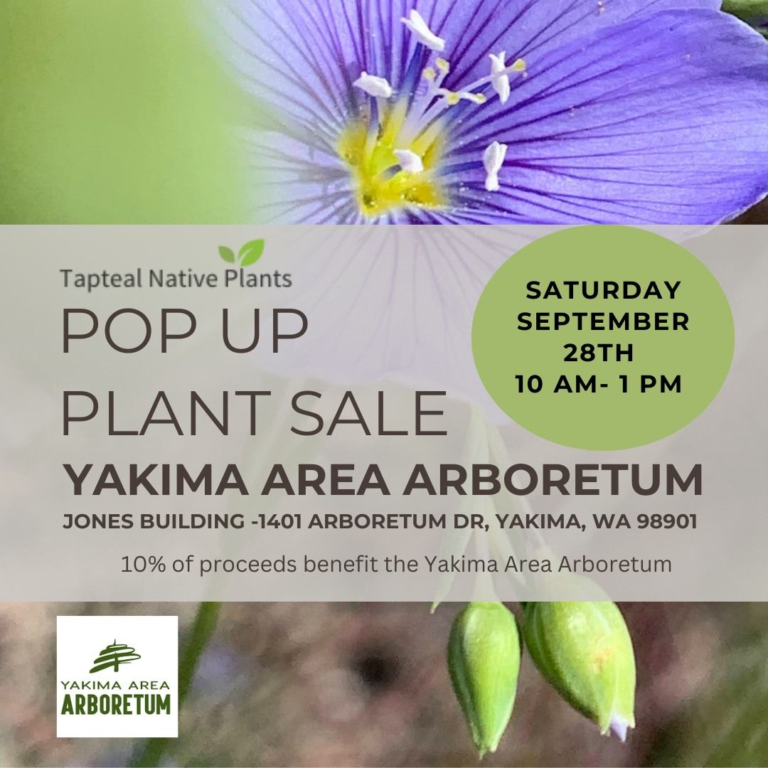 YAKIMA POP UP PLANT SALE 