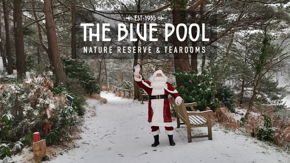 Christmas Magic at The Blue Pool