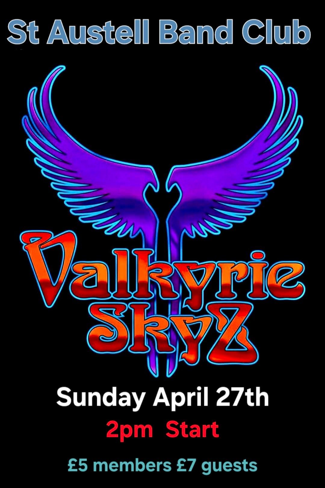 VALKYRIE SKYZ!