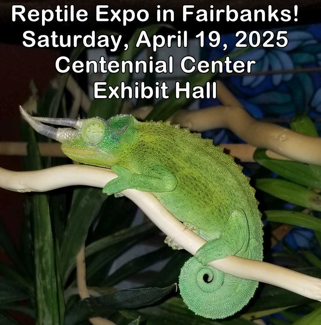 First Annual Fairbanks Reptile Expo