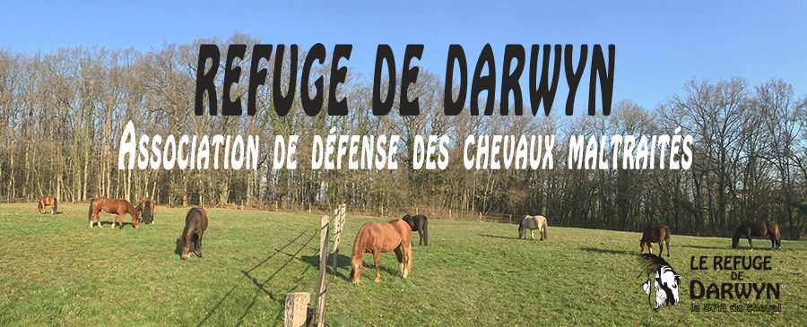 Les 25 ans du Refuge de Darwyn