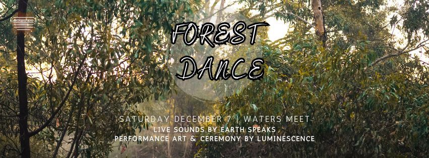 Forest Dance Adelaide | Ft. Live Sounds by Earth Speaks