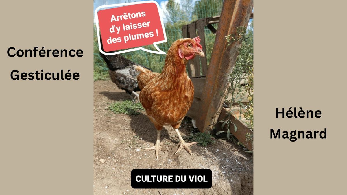 Conf\u00e9rence gesticul\u00e9e "Culture du viol : arr\u00eatons d'y laisser des plumes !", par H\u00e9l\u00e8ne Magnard.