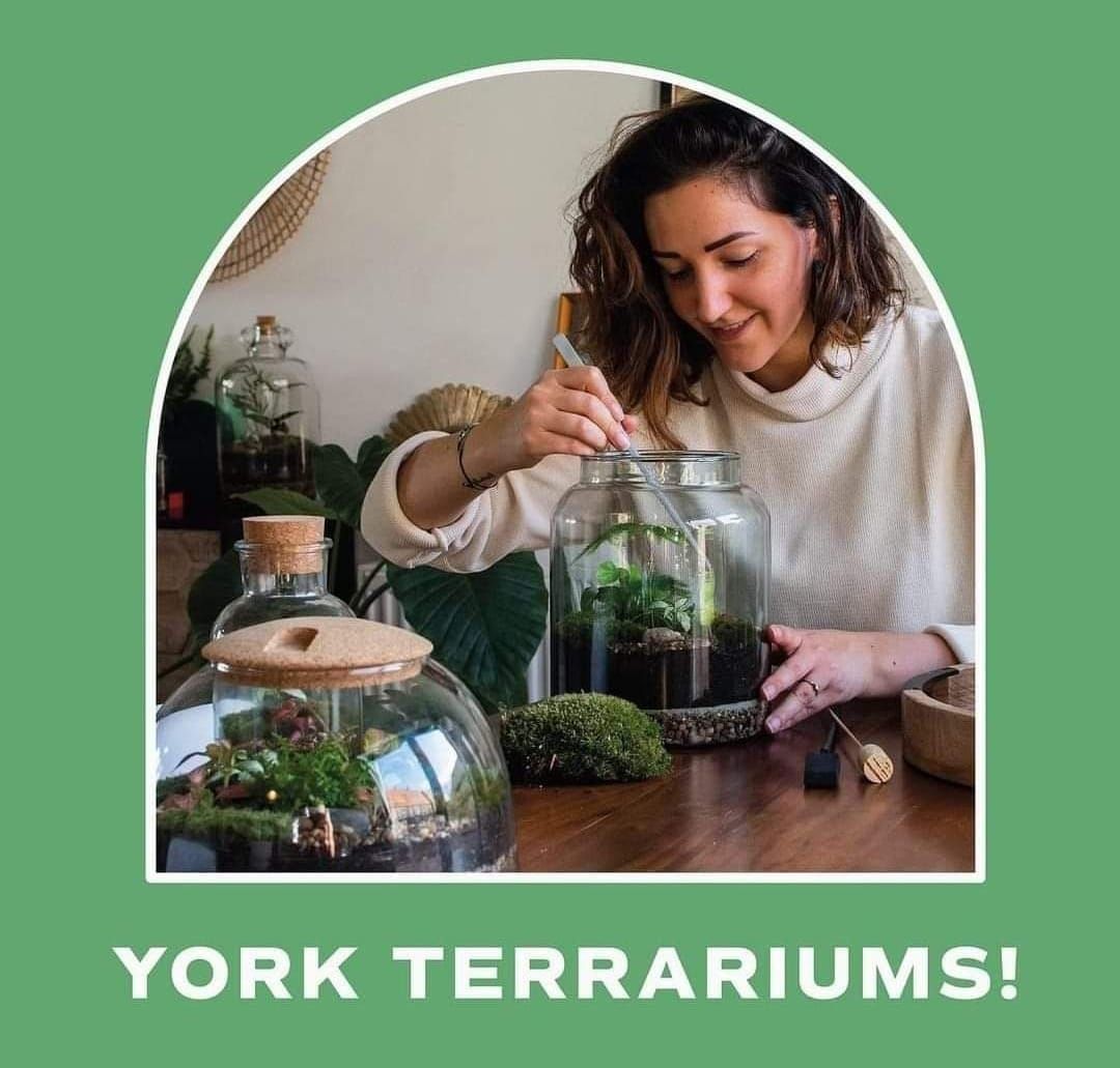 Terrarium Workshop with York Terrariums