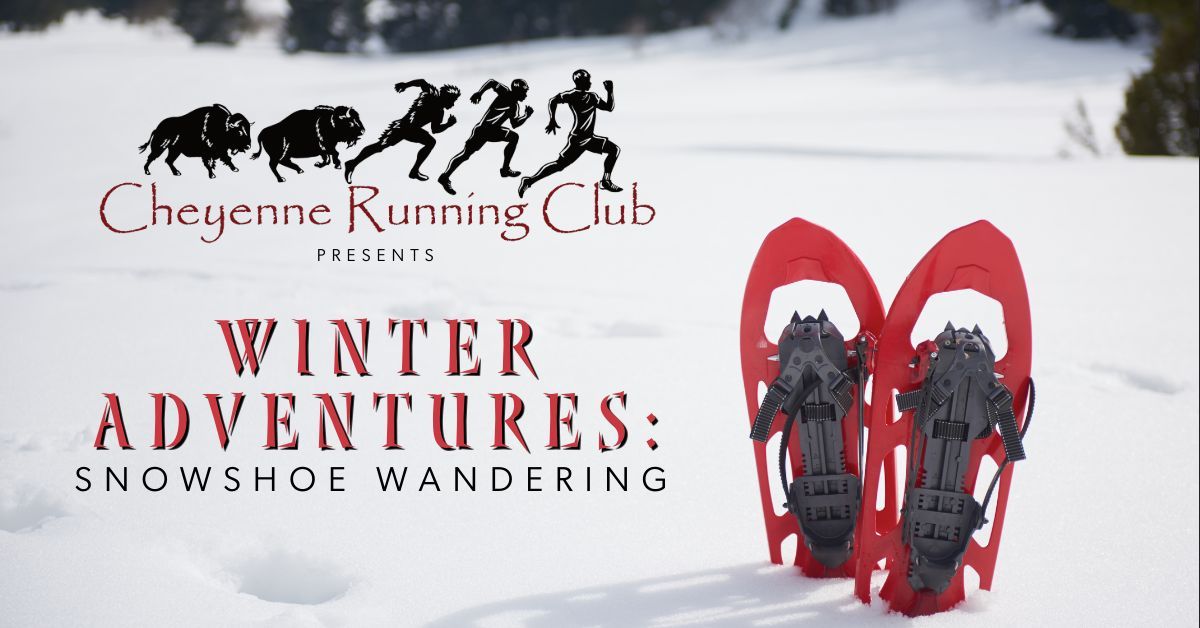 Winter Adventures : Snowshoe Wandering 