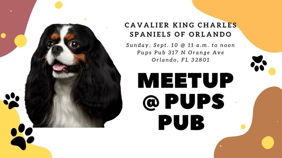 September Pups Pub Cavalier King Charles Spaniel of Orlando Meetup