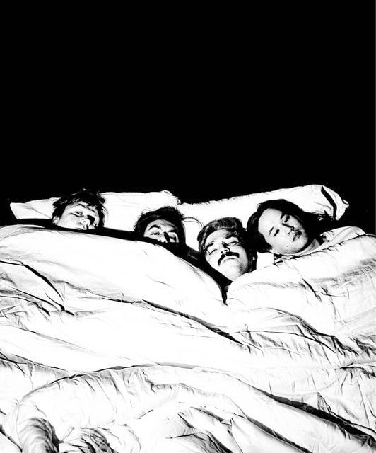 Modern Color in Fort Collins