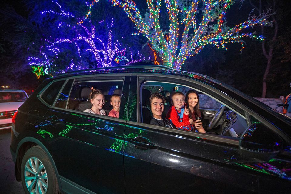 Wildlights for Wildlife presented by Valley Toyota Dealers
