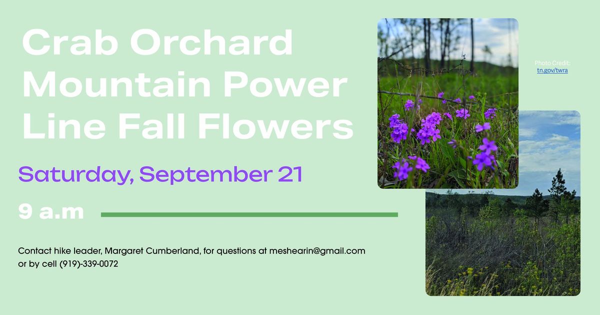 Crab Orchard Mountain Power Line Fall Flowers \u2013 Saturday, September 21