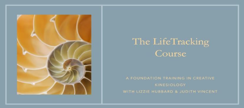 LifeTracking Foundation level Kinesiology