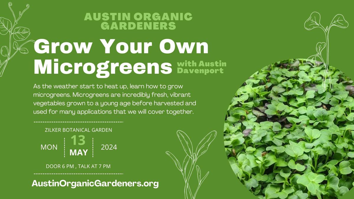 Grow Your Own Microgreens