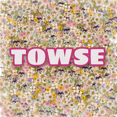 Towse