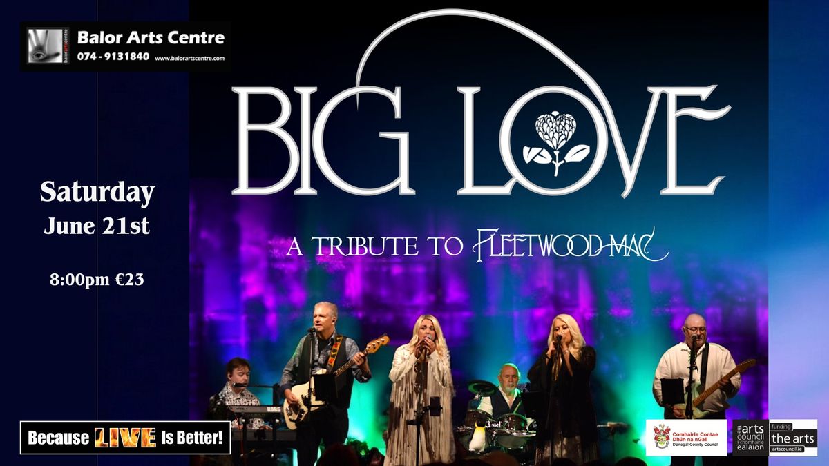 Big Love - A Tribute to Fleetwood Mac