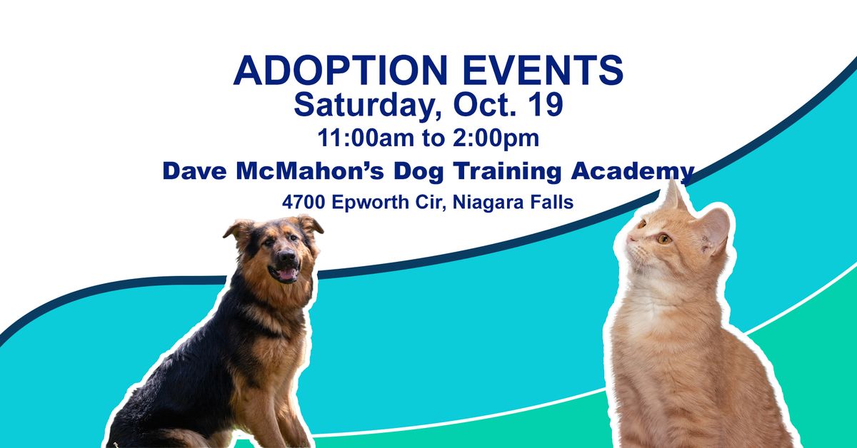 Adoption Event - Dave McMahon Academy