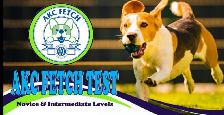 AKC Fetch Test