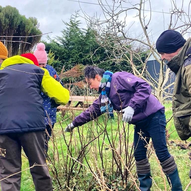 Fruit Tree Pruning