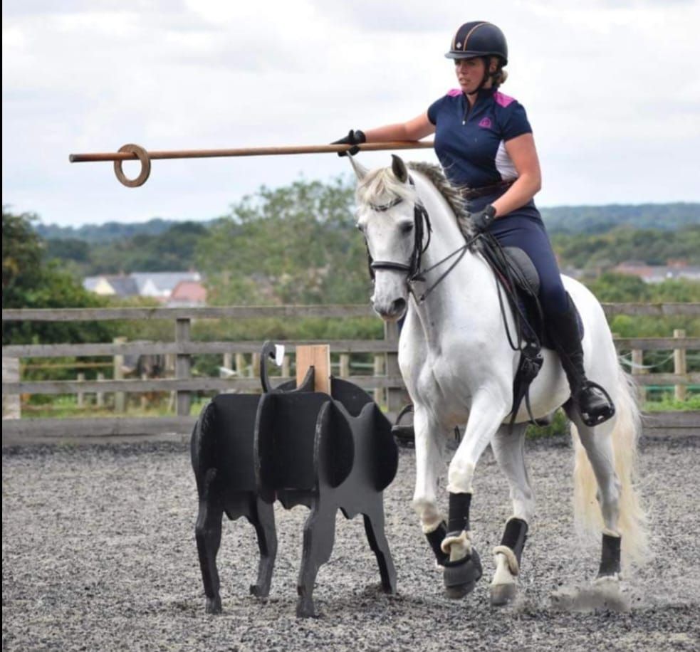 Suzanne Dipple working Equitation clinic