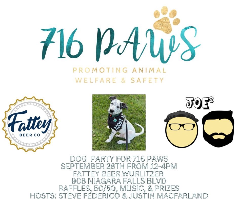 Dog Party for 716 PAWS