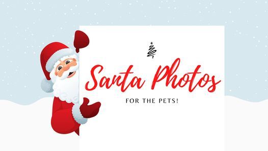 paws inn pet essentials