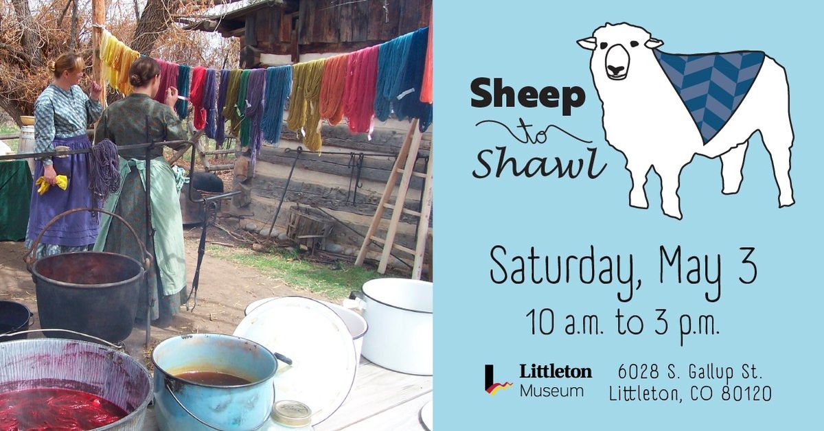 Sheep to Shawl