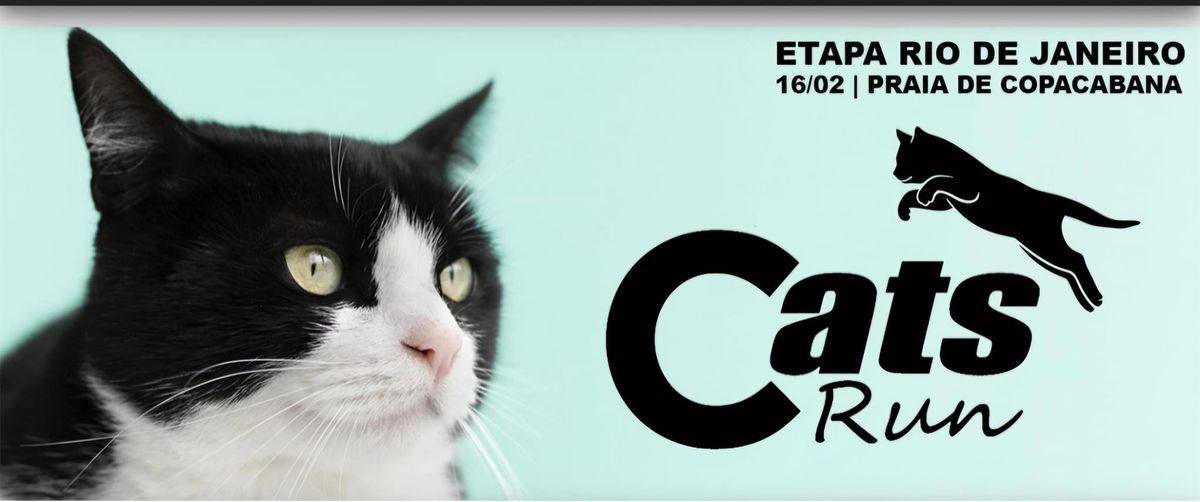 Cats Run - Etapa Rio de Janeiro 