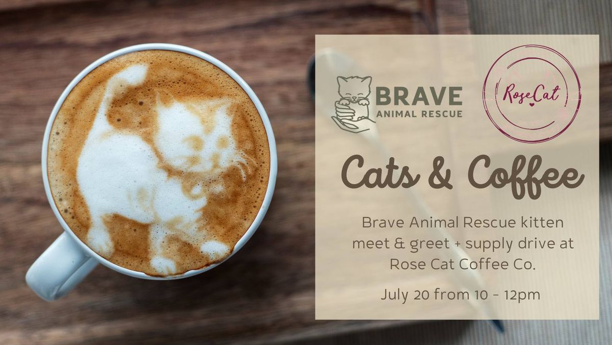 Cats & Coffee with Brave Animal Rescue & Rose Cat Coffee Co. 