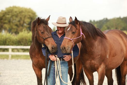 Introduction to Horsemanship, Stage 1, 12th\/13th Feb - Helensville