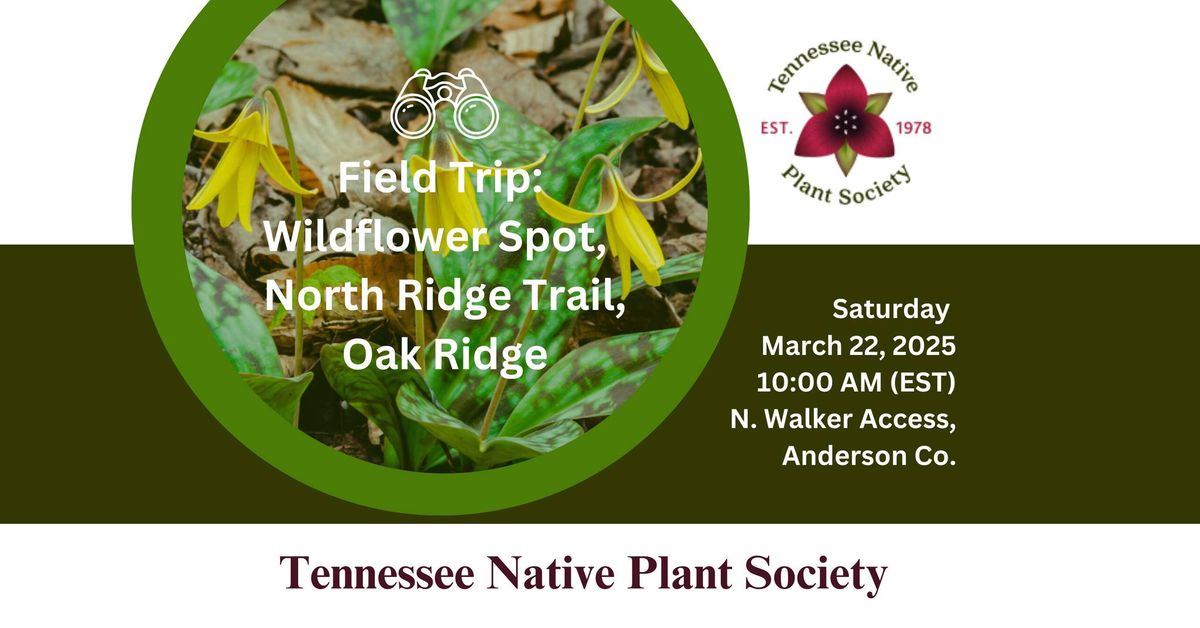 TNPS Field Trip: Wildflower Spot, North Ridge Trail, Oak Ridge