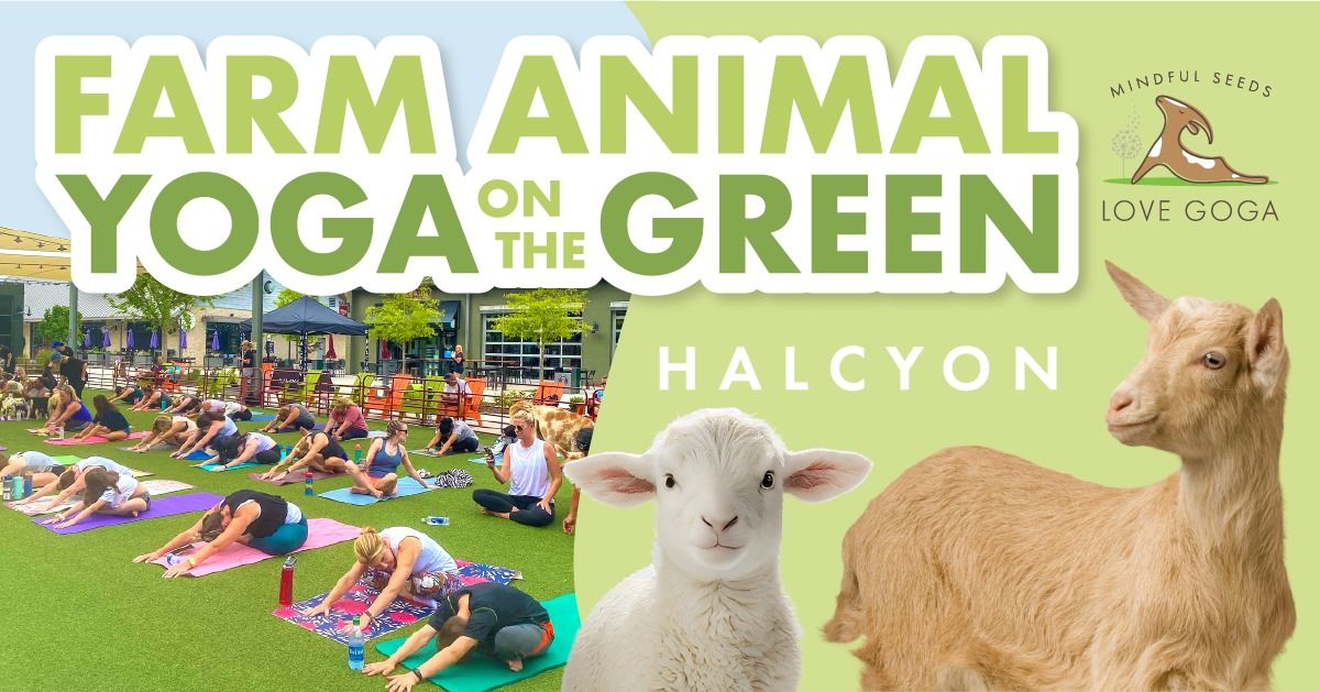 SEASON FINALE: Farm Animal Yoga on the Green at Halcyon