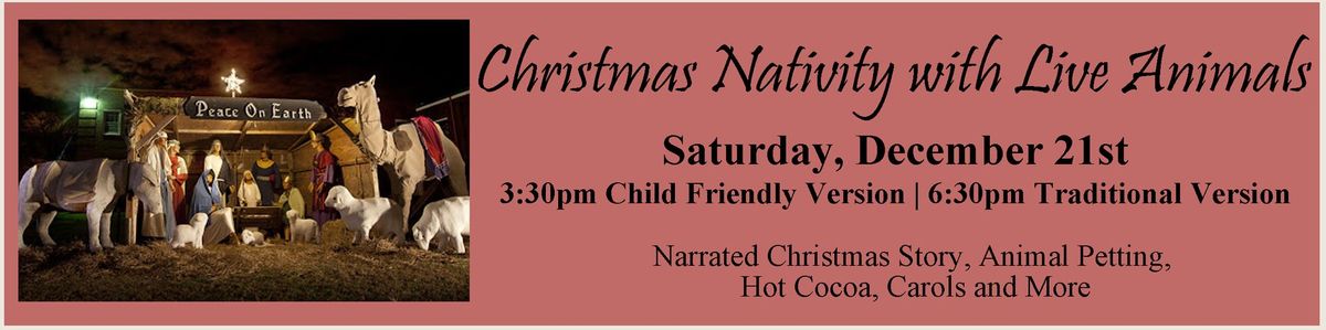 Christmas Nativity with Live Animals