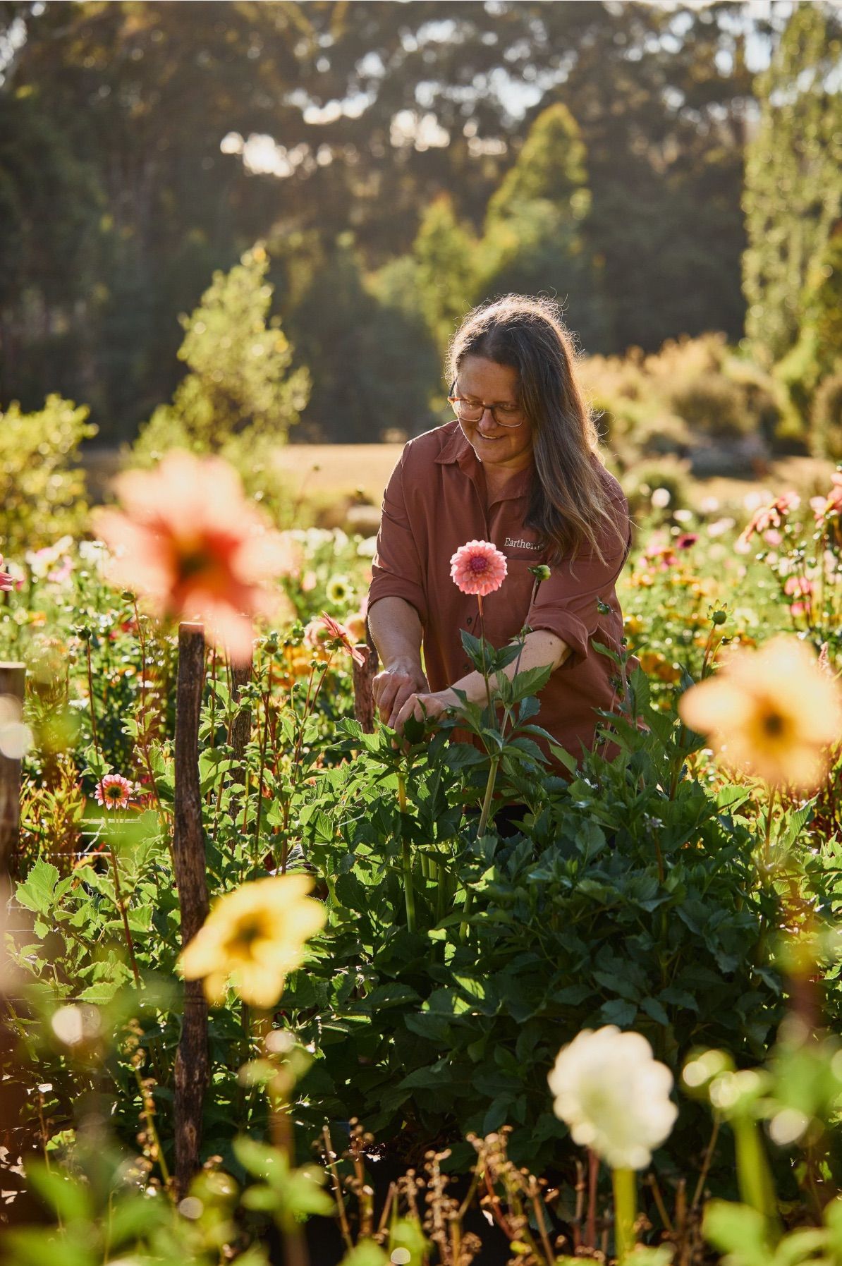 Tuesday Flower Picking