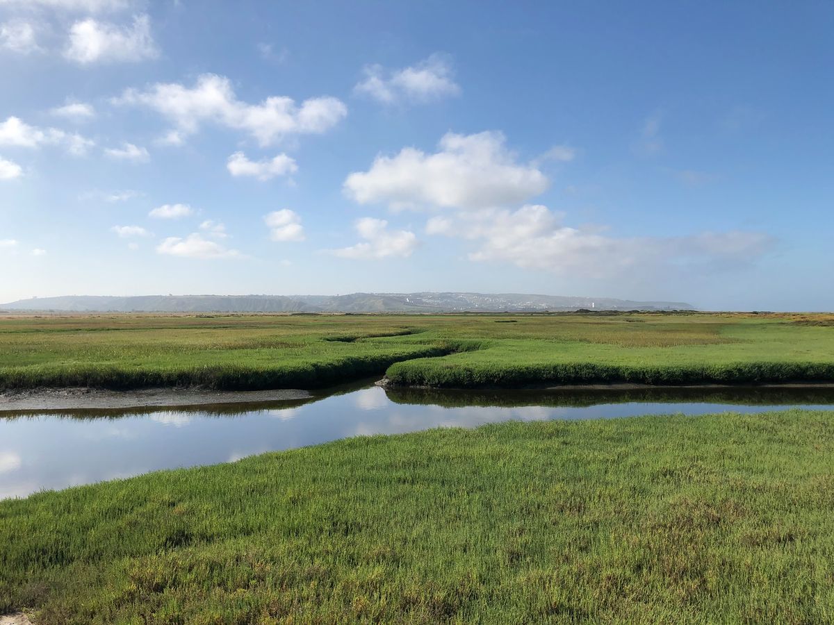 Nature Walk, River Mouth Trail