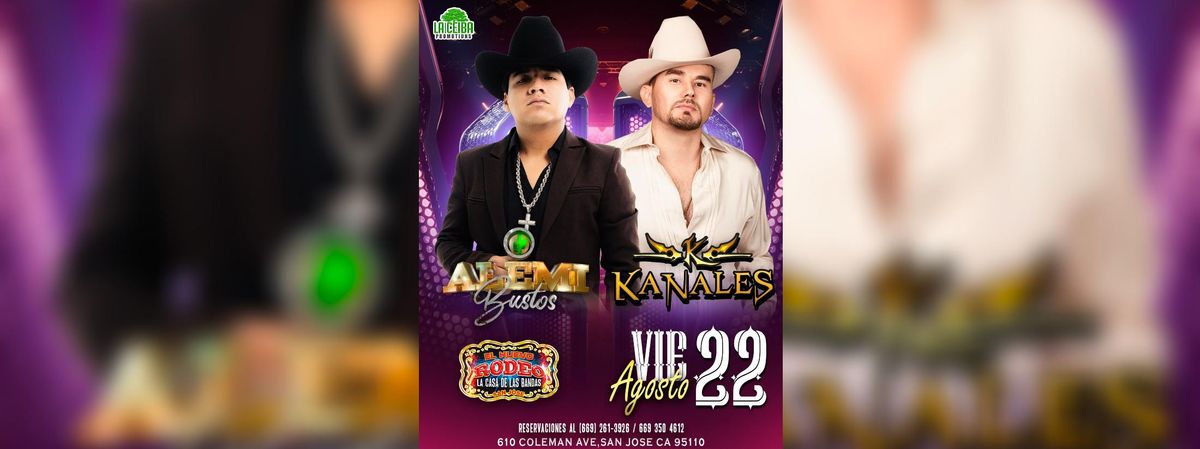 ALEMI BUSTOS Y KANALES