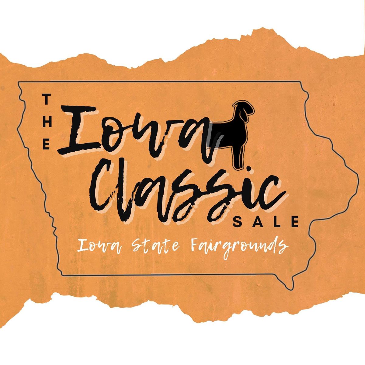 2024 Iowa Classic Sale