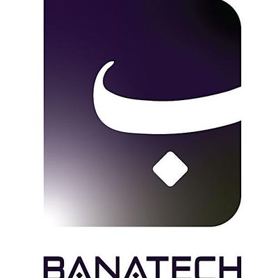 BanaTech Consulting
