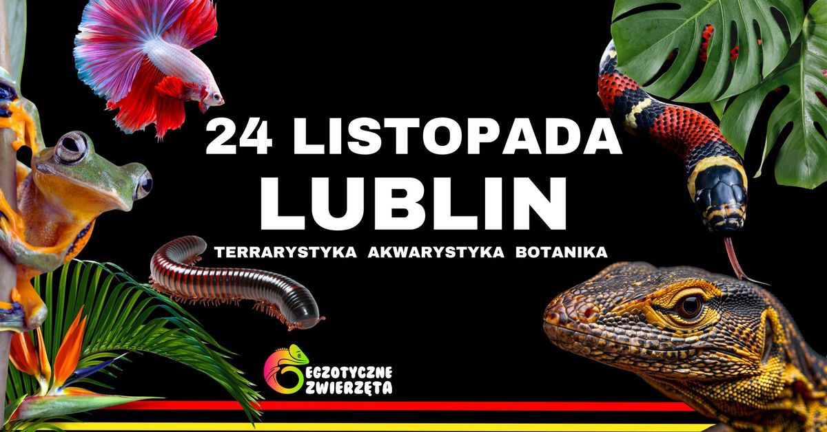 LUBLIN 24 LISTOPADA - EGZOTYCZNE ZWIERZ\u0118TA - TERRARYSTYKA AKWARYSTYKA BOTANIKA