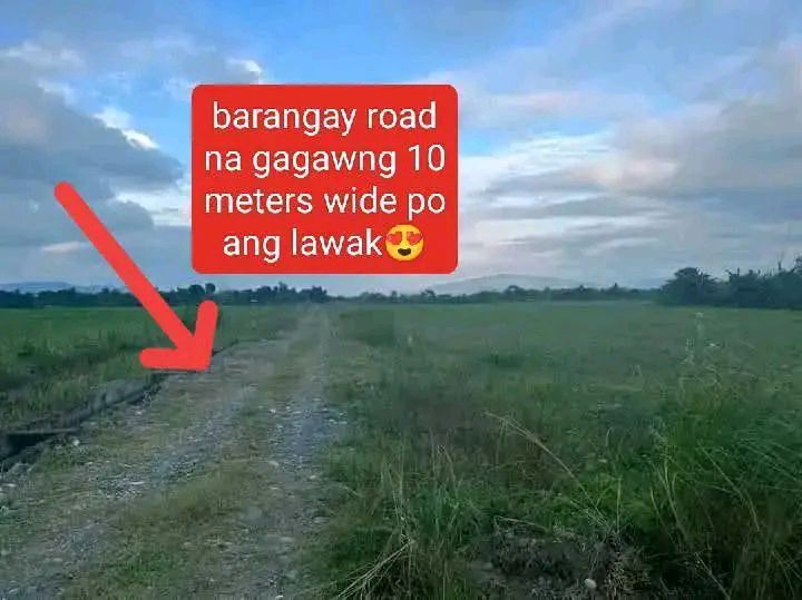 Selling our lot in Bayombong Nueva Vizcaya