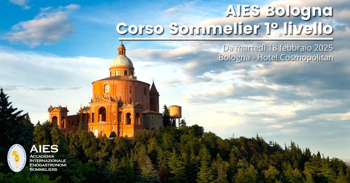 Corso Sommelier Aies Bologna