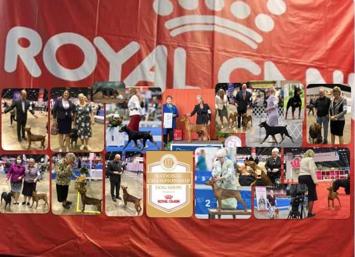 GPCA National at the Royal Canine National Dog Show in Orlando. 