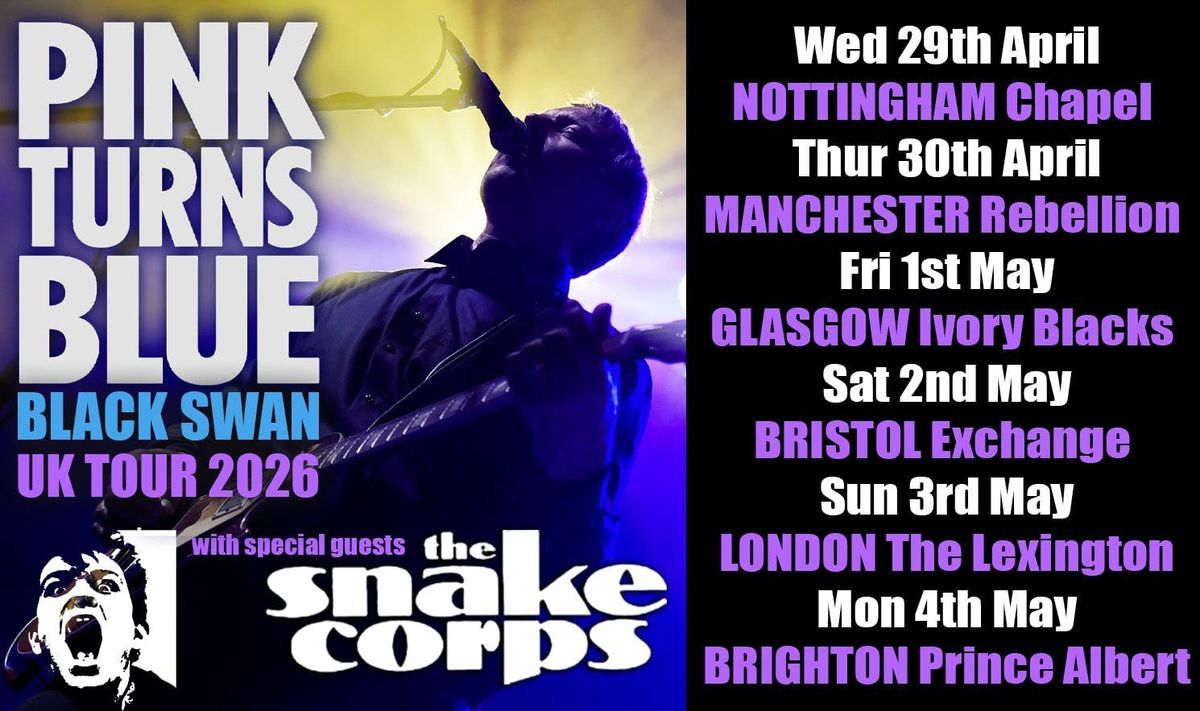 PINK TURNS BLUE\u00a0- The Black Swan Tour | London