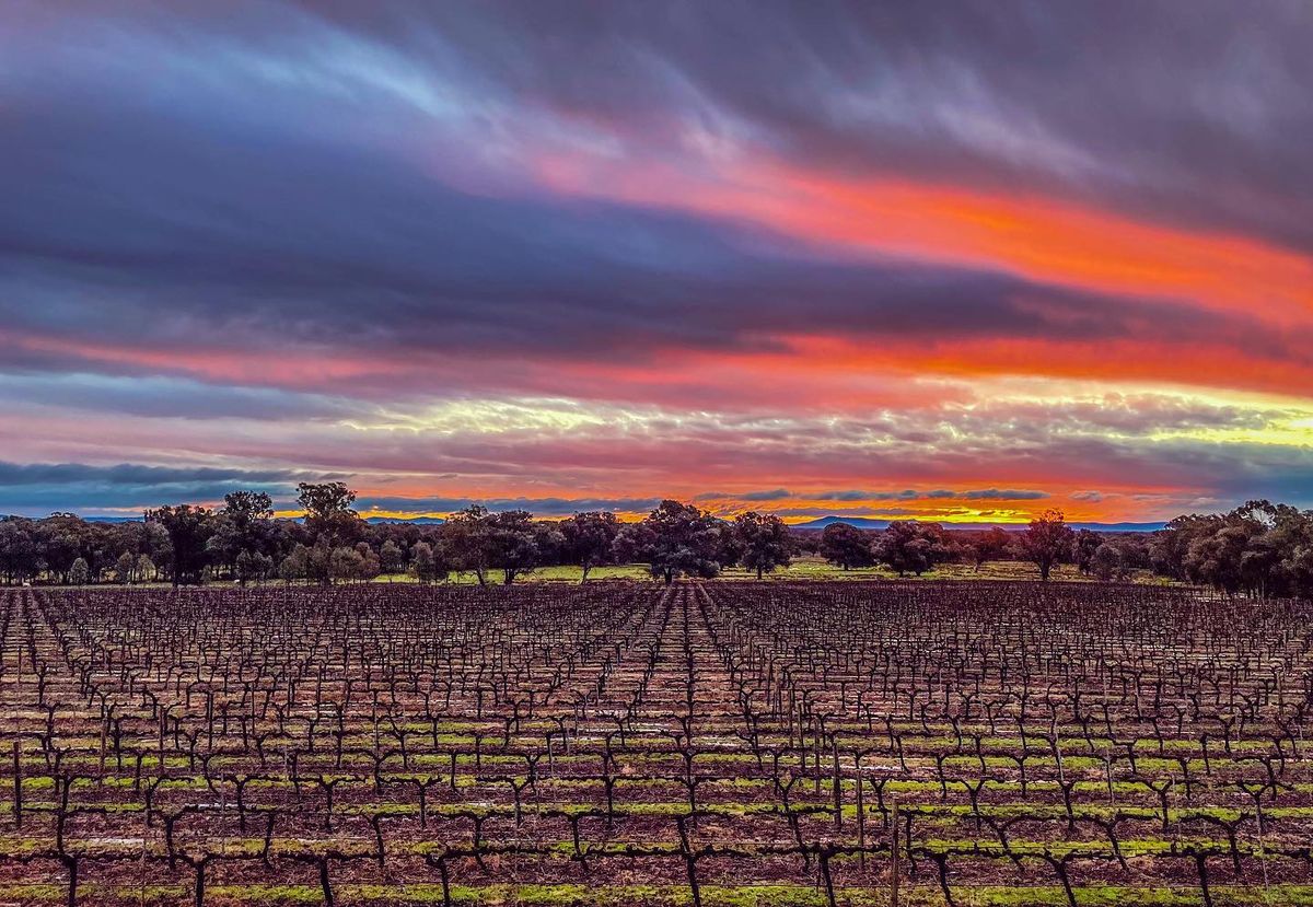 Wood Park Wines Babblers Dinner