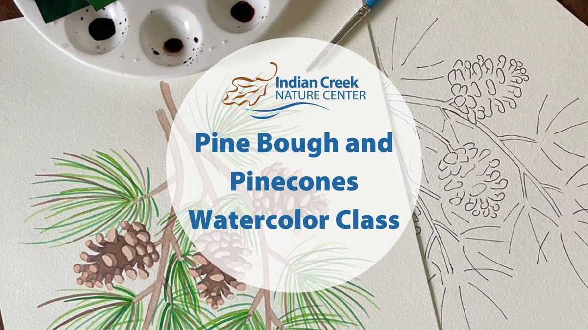 Watercolor Painting: Pine Bough and Pinecones