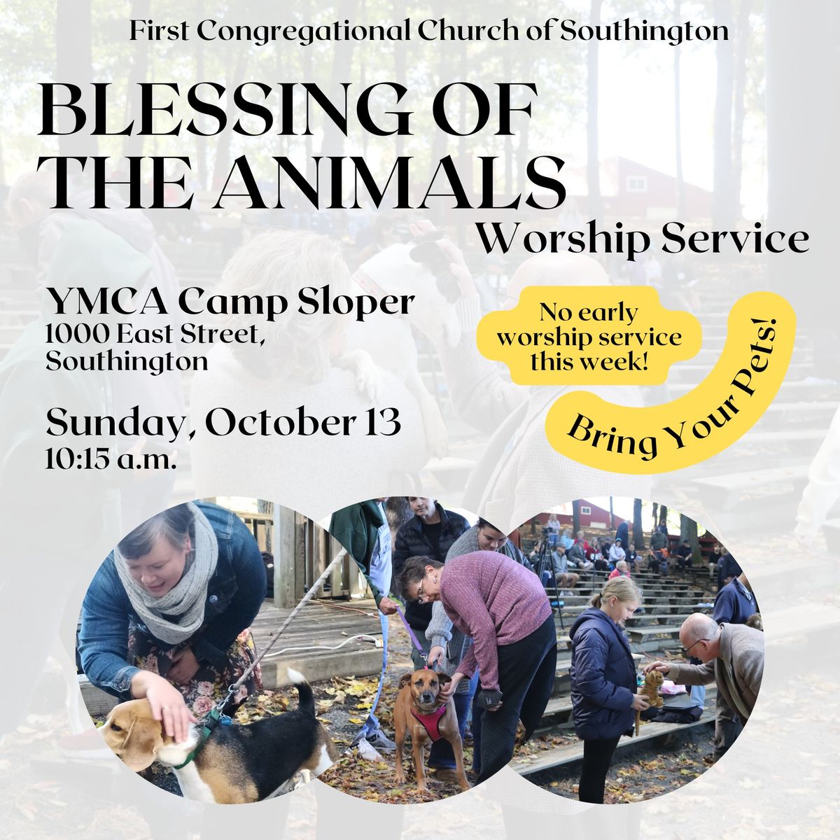 Blessing of the Animals