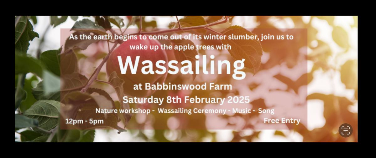 Wassailing at Babbinswood Farm 